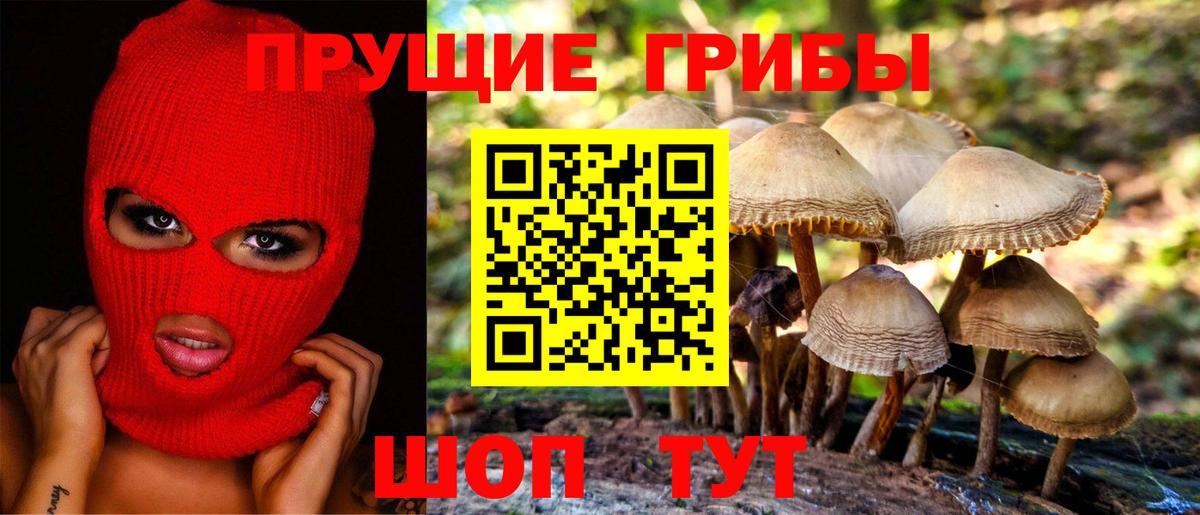 Галлюциногенные грибы мицелий  Вход с VPN  Кизляр  Галлюциногенные грибы Psilocybe 